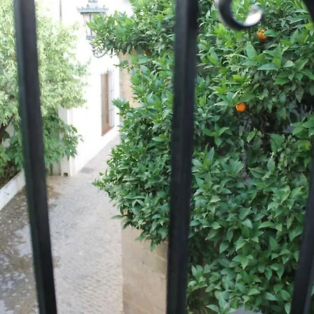 La Casita De La Ciudad Holiday home Ronda