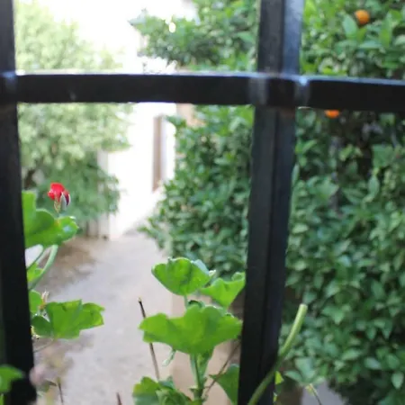 La Casita De La Ciudad *