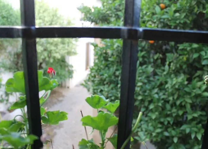 La Casita De La Ciudad *